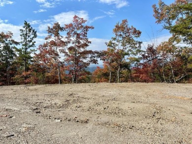 Lake Lot For Sale in Bryson City, North Carolina