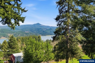 FOSTER LAKE VIEW opportunity! 50x70 RV Sized shop with 3 - 14x14 - photo 5