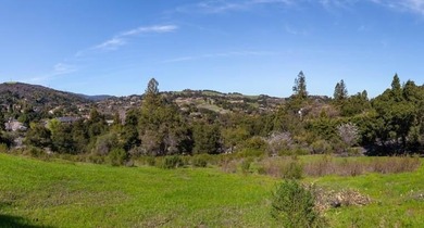 Rare, excellent 1.8 acre vacant site. Desired Silicon Valley - photo 6