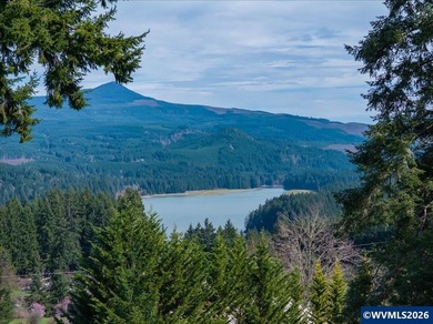 FOSTER LAKE VIEW opportunity! 50x70 RV Sized shop with 3 - 14x14 - photo 8