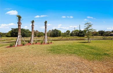 This stunning Mystique Home on the Golf Course features 3 - photo 32