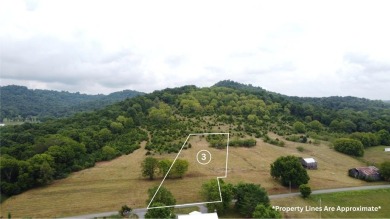 Cordell Hull Lake Lot For Sale in Gainesboro Tennessee