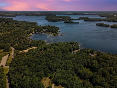 Lake Home For Sale in Annandale, Minnesota