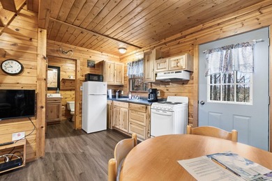 Charming and cozy, this Beaver Creek Resort cabin offers the - photo 6