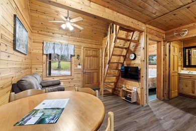 Charming and cozy, this Beaver Creek Resort cabin offers the - photo 7