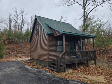 Adorable and inviting, this 2-bedroom, 1-bath Beaver Creek cabin - photo 2