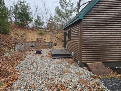 Adorable and inviting, this 2-bedroom, 1-bath Beaver Creek cabin - photo 3