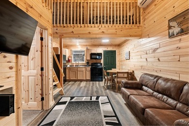 Adorable and inviting, this 2-bedroom, 1-bath Beaver Creek cabin - photo 4
