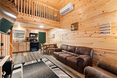 Adorable and inviting, this 2-bedroom, 1-bath Beaver Creek cabin - photo 5