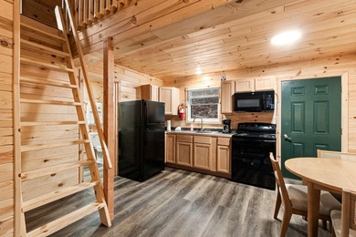 Adorable and inviting, this 2-bedroom, 1-bath Beaver Creek cabin - photo 6