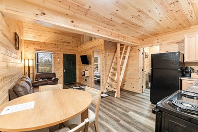 Adorable and inviting, this 2-bedroom, 1-bath Beaver Creek cabin - photo 7