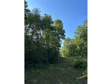 Lake Acreage For Sale in Wilder, Tennessee