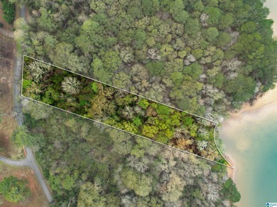 Lake Lot For Sale in Pell City, Alabama