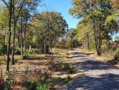 Lake Acreage For Sale in Mena, Arkansas