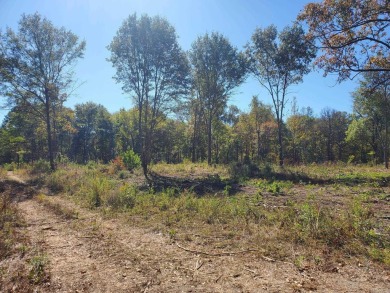 Lake Acreage For Sale in Mena, Arkansas