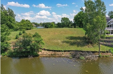 Lake Lot For Sale in Centreville, Michigan