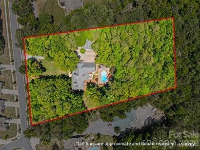 Welcome to 16105 Langston Drive - a truly one-of-a-kind - photo 45