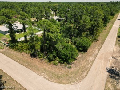 Lehigh Acres Area Lot For Sale in Lehigh Acres Florida