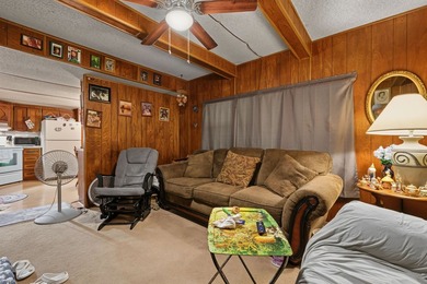 Affordable waterfront living on Lake Granbury with your own - photo 3