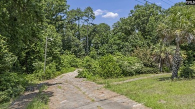 4.93 acres of prime Commercial property in Lexington County at - photo 5
