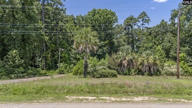 4.93 acres of prime Commercial property in Lexington County at - photo 6