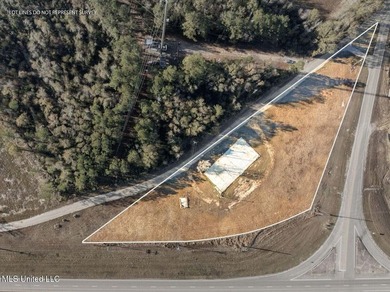 Leaf River Acreage For Sale in Mclain Mississippi