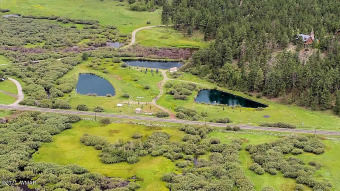 (private lake, pond, creek) Lot For Sale in Greer Arizona