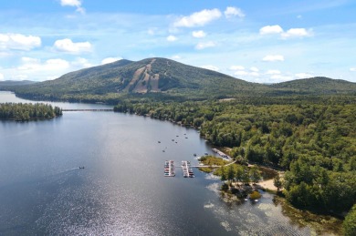 (private lake, pond, creek) Home For Sale in Bridgton Maine