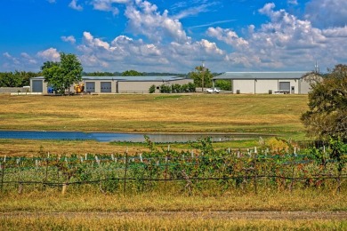 Once in a lifetime opportunity...Hidden Hangar Vineyards, with - Lake Acreage For Sale in Denison, Texas
