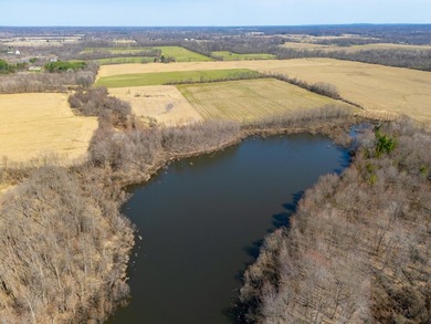 77.30 ACRES with frontage on Davis Lake in Waverly Township IS - photo 12