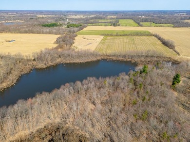 77.30 ACRES with frontage on Davis Lake in Waverly Township IS - photo 13