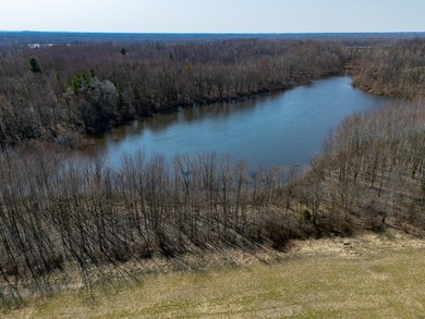 77.30 ACRES with frontage on Davis Lake in Waverly Township IS - photo 14