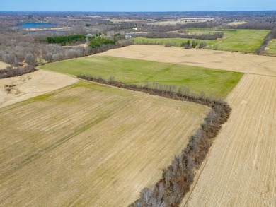 77.30 ACRES with frontage on Davis Lake in Waverly Township IS - photo 15
