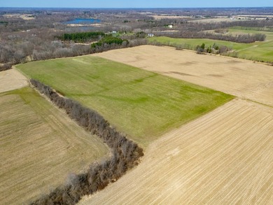 77.30 ACRES with frontage on Davis Lake in Waverly Township IS - photo 16