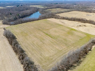77.30 ACRES with frontage on Davis Lake in Waverly Township IS - photo 17