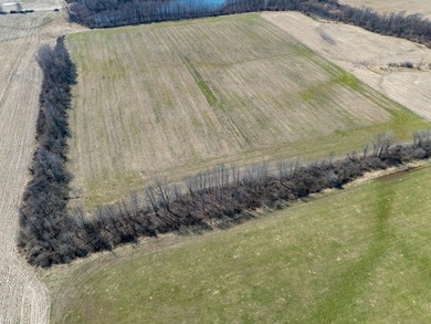 77.30 ACRES with frontage on Davis Lake in Waverly Township IS - photo 18