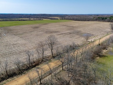 77.30 ACRES with frontage on Davis Lake in Waverly Township IS - photo 19