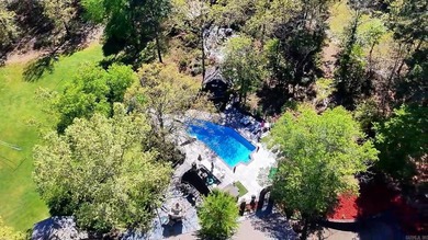 Spacious 5 bedroom, 3 full + 2 half bath home with 4,036 sq ft - photo 40