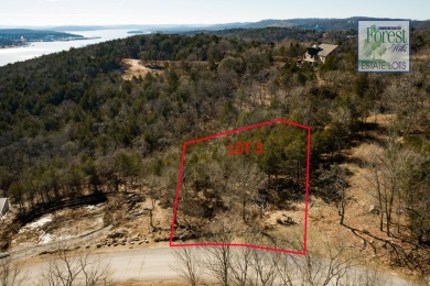 Lake Lot For Sale in Branson West, Missouri