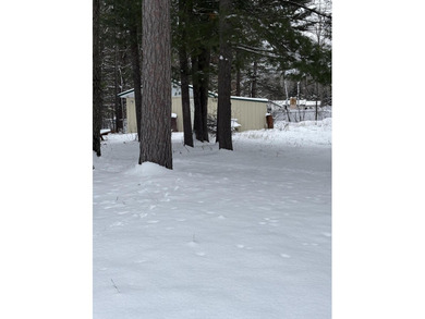 Lake St Helen Lot For Sale in Saint Helen Michigan