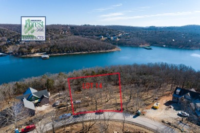Table Rock Lake Lot For Sale in Branson West Missouri