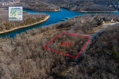 Table Rock Lake Lot For Sale in Branson West Missouri