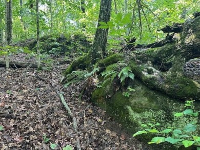 Lake Acreage For Sale in Wilder, Tennessee