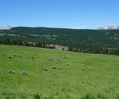 Beautiful alpine meadow property surrounded by a mature - photo 11