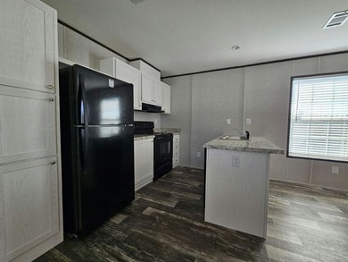 This brand new 3 bedroom,2 bathroom , 1056 SF home is located in - photo 3