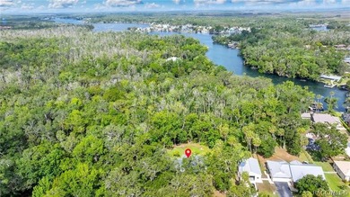 UPDATE: 1) 2nd PRICE REDUCTION! Welcome to old Florida living! - photo 35