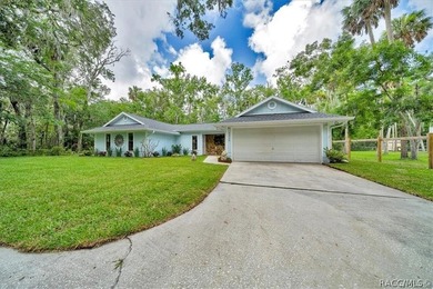 UPDATE: 1) 2nd PRICE REDUCTION! Welcome to old Florida living! - photo 46