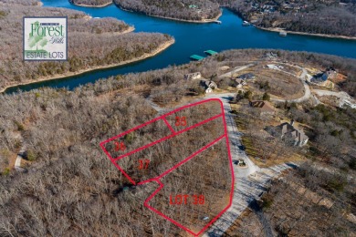 Table Rock Lake Lot For Sale in Branson West Missouri
