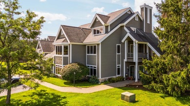 Lake Condo For Sale in Gaylord, Michigan