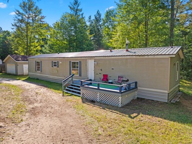 Lake Margarethe Home For Sale in Grayling Michigan